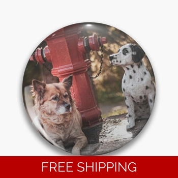 Le Studio Pin Rush Signals S..