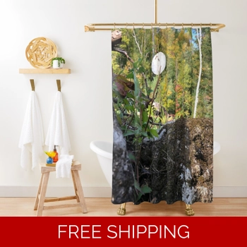 Le Studio Shower Curtain Sat..