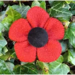 Red HARRIS TWEED Poppy Corsage Brooch Pin