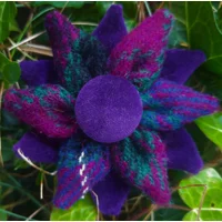Western Isles Tartan Harris Tweed & Purple Velvet Corsage Brooch