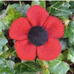 Red HARRIS TWEED Poppy Corsage Brooch Pin