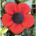 Red HARRIS TWEED Poppy Corsage Brooch Pin
