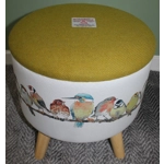 Large 40x40x40cm STORAGE Stool/Footstool Acid Green Harris Tweed & Laura Ashley Garden Birds