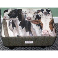 MEDIUM 40x30x25cm Rectangular Harris Tweed & Cow..