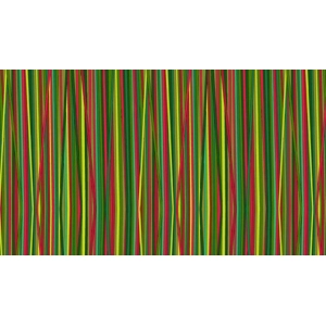 Holiday Tweets Stripe