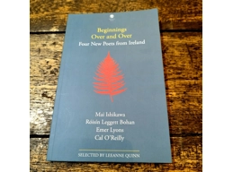 Beginnings Over and Over: Four New Poets From Ireland