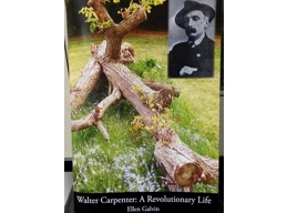 *SOLD OUT*! Walter Carpenter: A Revolutionary Life by Ellen Galvin