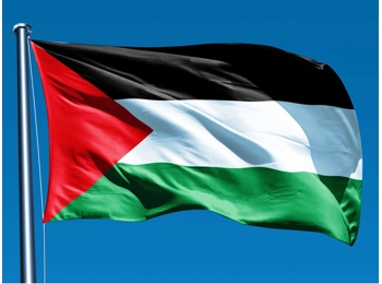 Palestinian Flag Palestinian Flag