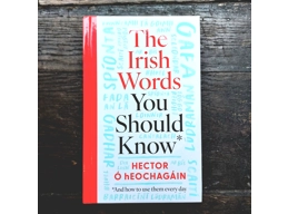 The Irish words you should know