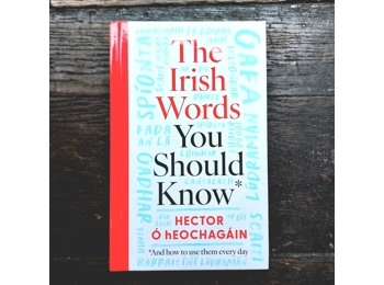 The Irish words you should know
