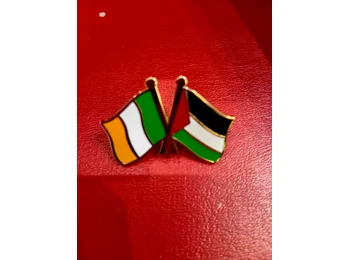 Ireland Palestine Solidarity Badge
