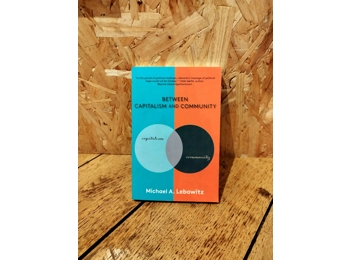 Between Capitalism And Community