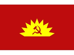 Communist Party of Ireland flag