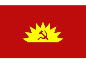 Communist Party of Ireland flag