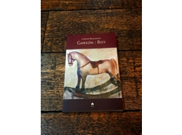 Garsún : Boy le Gabriel Rosenstock