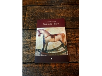 Garsún : Boy le Gabriel Rosenstock