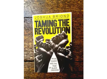 Taming the Revolution by Joshua Briond