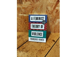 A Feminist Theory Of Violence