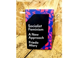 Socialist Feminism A New Approach