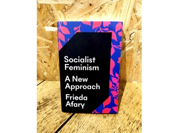 Socialist Feminism A New Approach