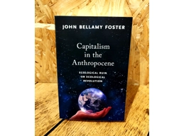 Capitalism in the Anthropocene