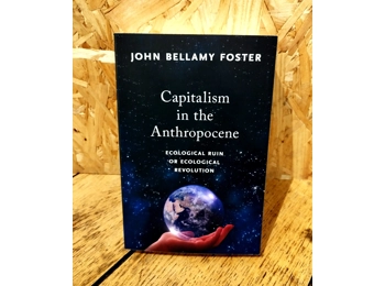 Capitalism in the Anthropocene