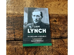 Liam Lynch: To Declare A Republic