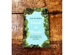 Island Of Woods: How Ireland Lost Its Forests and How to Get Them Back