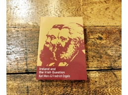 Ireland and the Irish Question