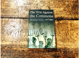 The War Against the Commons