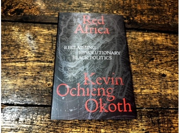 Red Africa - Reclaiming Revolutionary Black Politics