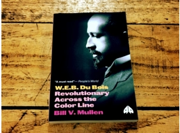 W.E.B. Du Bois: Revolutionary Across The Colour Line