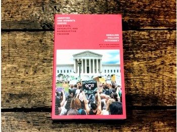 Abortion and Women's Choice: The State, Sexuality and Reproductive Freedom