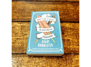 What’s That as Béarla?: An Irish-English Phrasebook