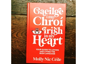 Gaeilge i mo Chroí