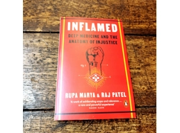 Inflamed: Deep Medicine and the Anatomy of Injustice