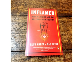 Inflamed: Deep Medicine and the Anatomy of Injustice