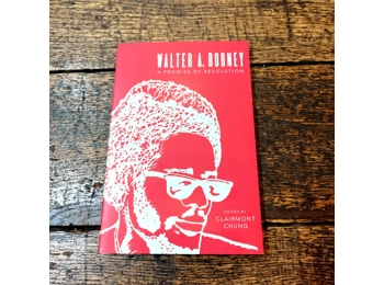 Walter Rodney - A Promise Of Revolution