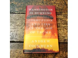 Washington Is Burning