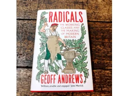 Radicals:The Working Classes and the Making of Modern Britain