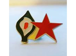 Red Star and Lily