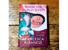 When The World Sleeps: Stories, Words, and Wounds of Palestine