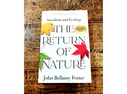 The Return Of Nature