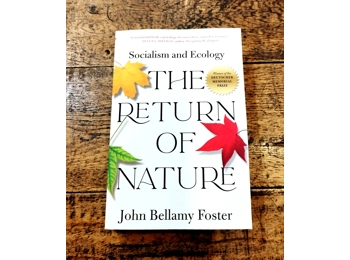 The Return Of Nature