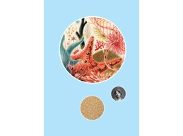 Rupture Eco-socialist Quarterly