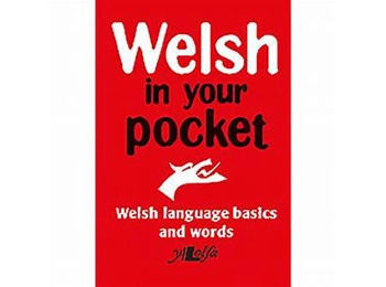Welsh In your pocket: Welsh Language Basics and Words