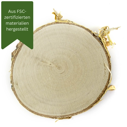 Birkenholz - Schlicht (8-9 cm x 1 cm)