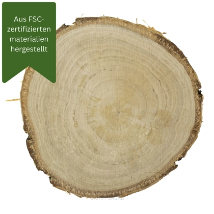 Birkenholz - Schlicht (10-12 cm x 1 cm)