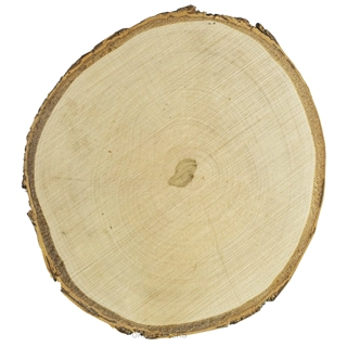 Birkenholz - Schlicht (15-20 cm x 2 cm)