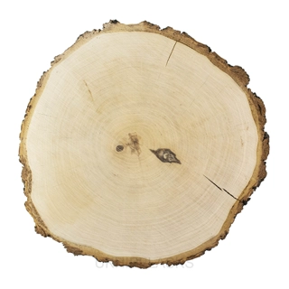 Birkenholz - Schlicht (38-33 cm x 3.5 ..